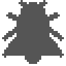 An undiscovered critter's silhouette