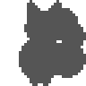 An undiscovered critter's silhouette