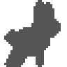 An undiscovered critter's silhouette
